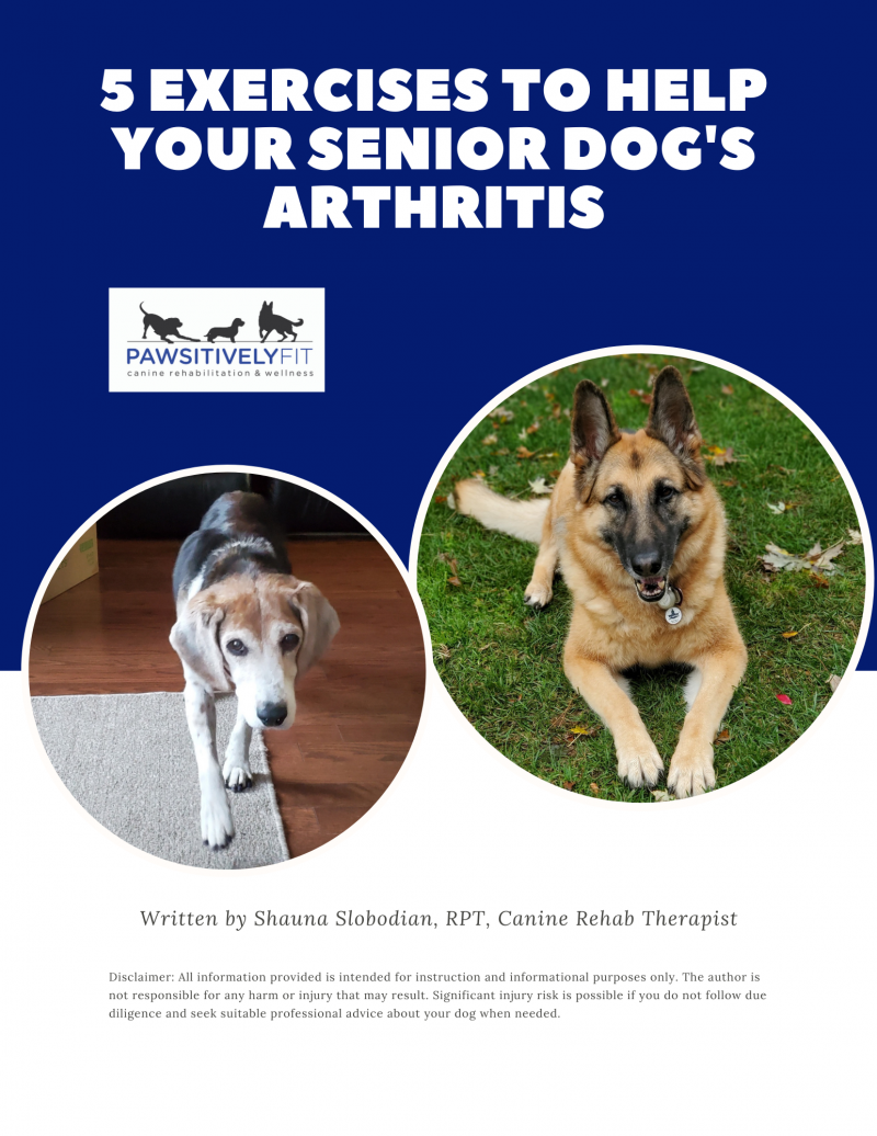 Arthritis Exercise Booklet Pawsitively Fit Canine Rehabilitation