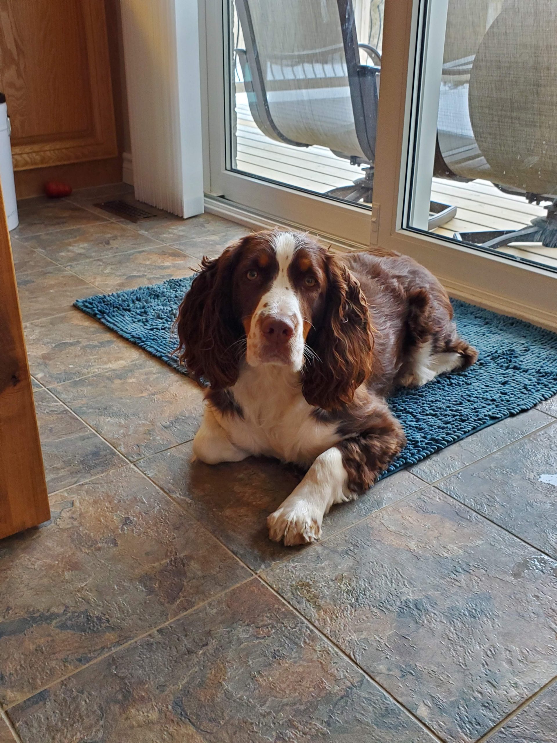 Millie Picture of Millie