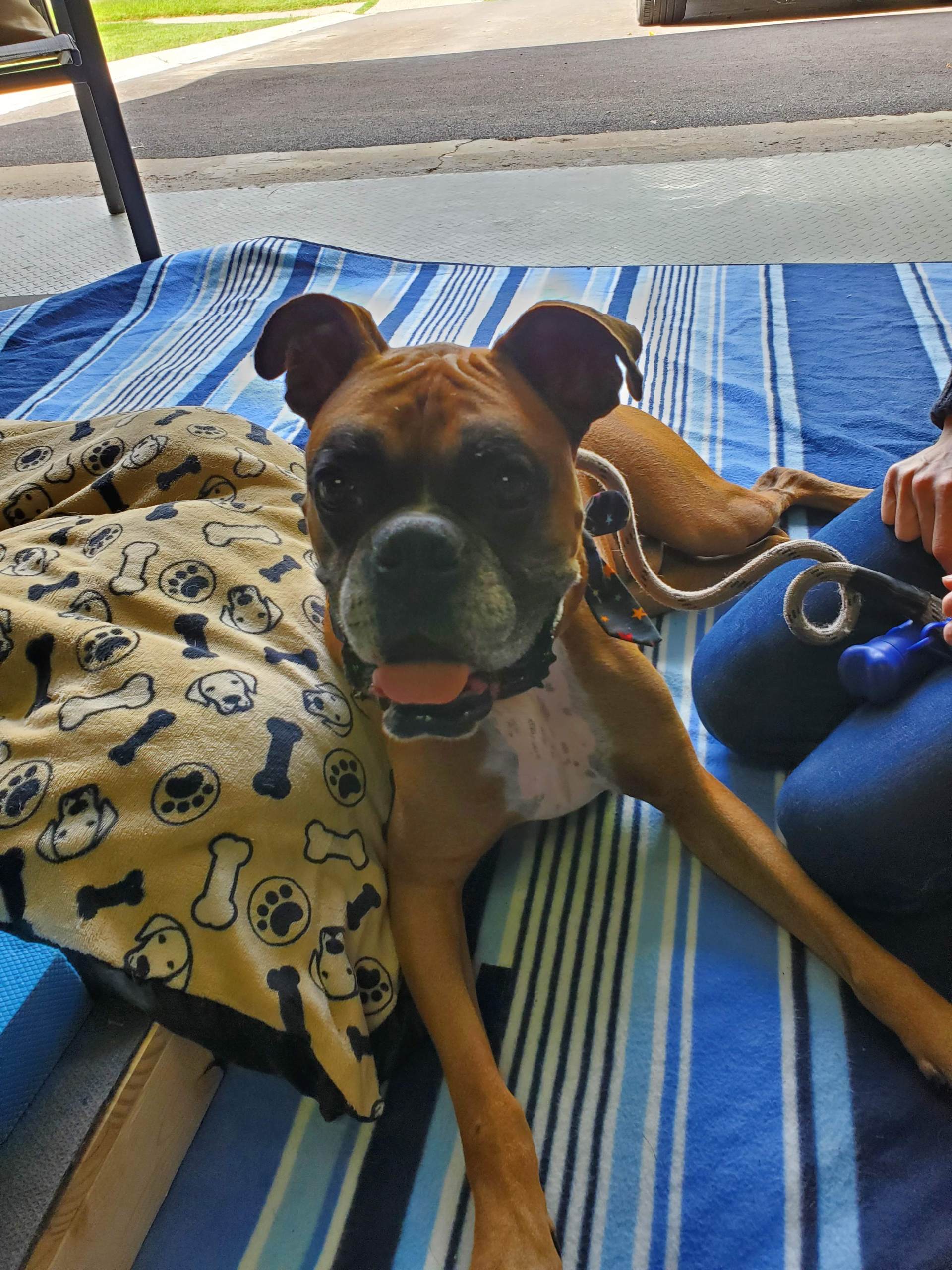 20220810_115052 Chance with CCL tear