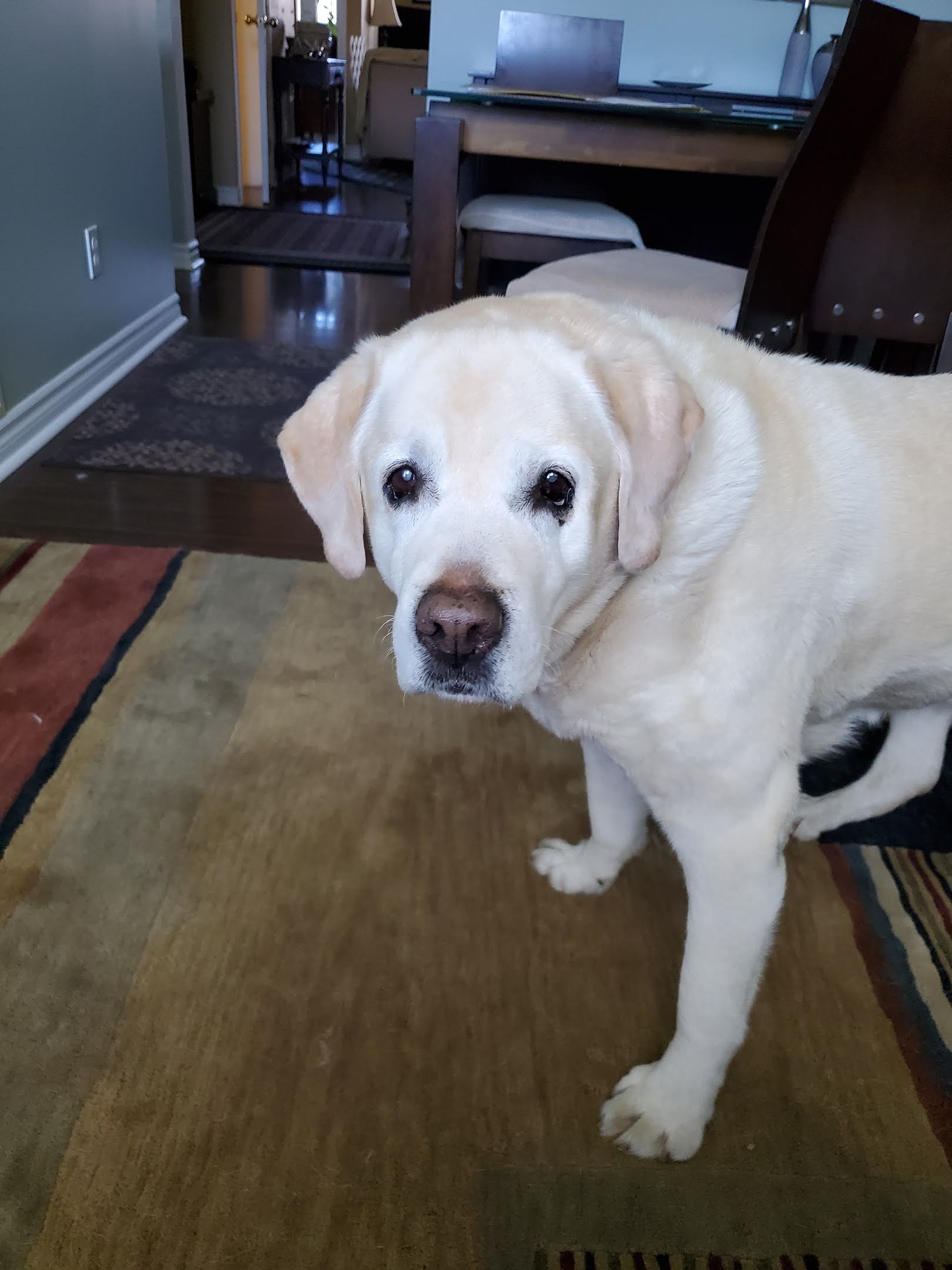 IMG-20210903_084155_0220-229410763