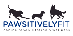 Pawsitively Fit Canine Rehabilitation & Wellness Logo
